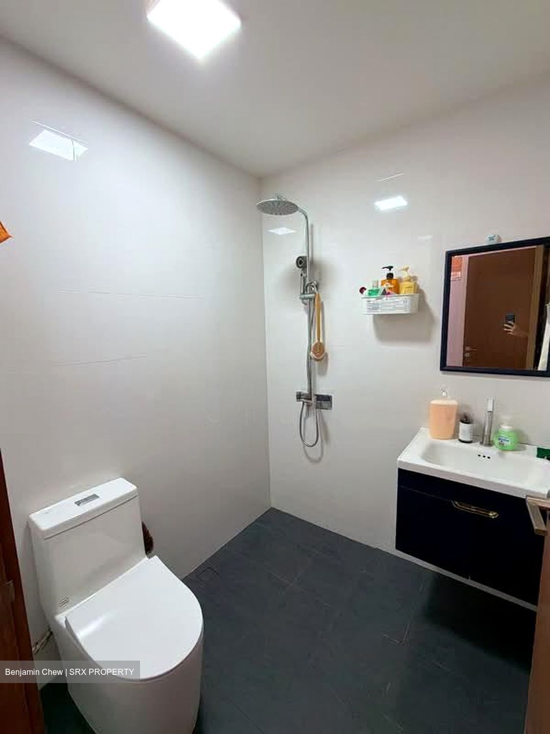 The MKZ (D9), Apartment #545837231
